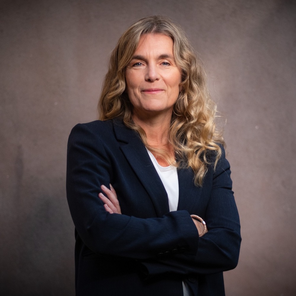 Marianne Vik, Videto AS